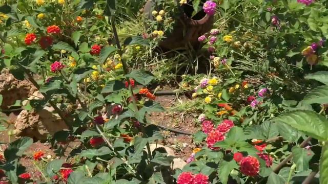 Грин Макс Отель. Май 2018г. смотреть онлайн