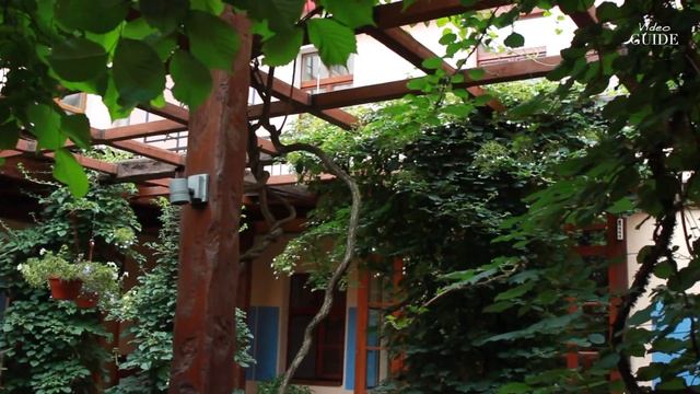 Alexander House смотреть онлайн