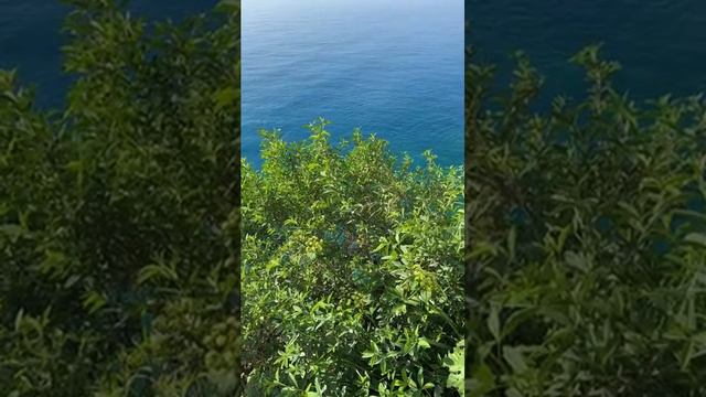 8722 1020851 mp3 смотреть онлайн