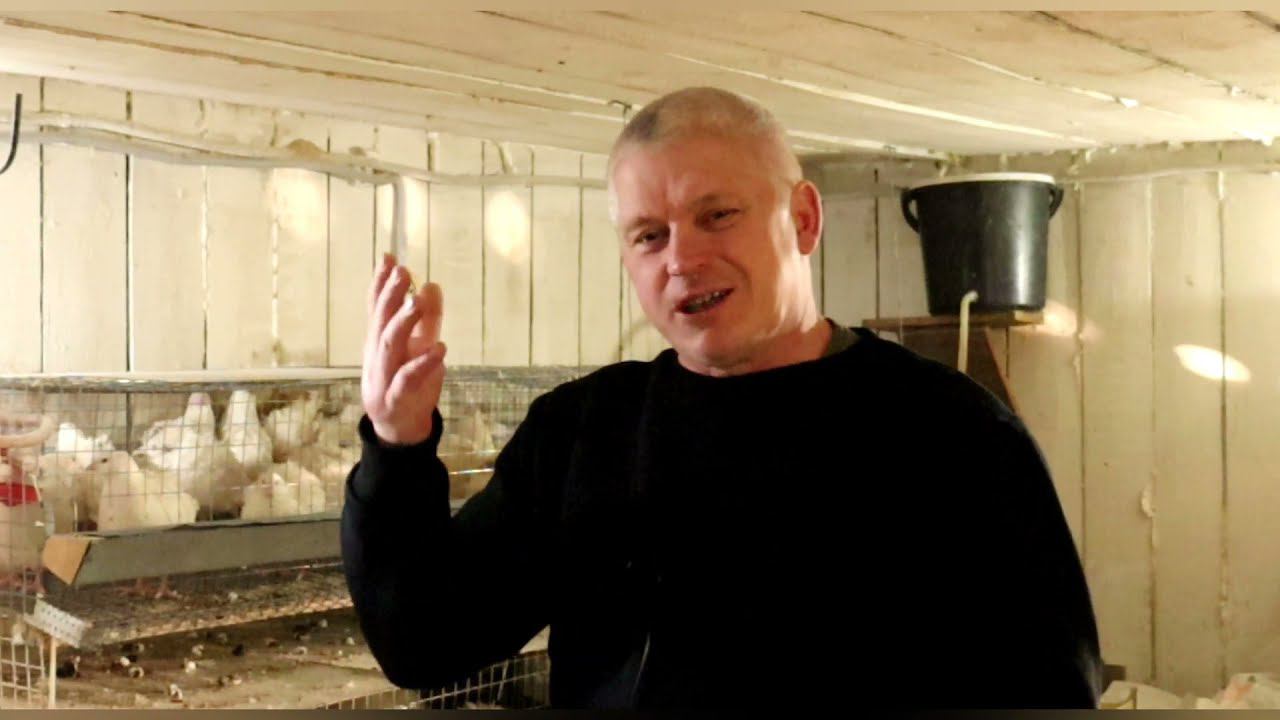 Клетки для перепелов Как они устроены смотреть онлайн