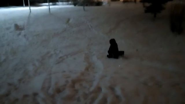 Снегокат с электромотором эксплуатация 2017 смотреть онлайн