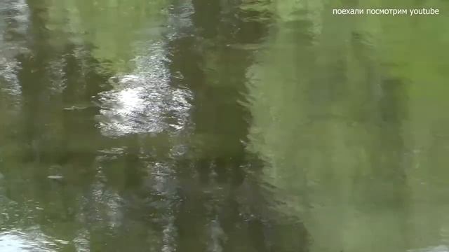 ДВОРЦОВО-ПАРКОВЫЙ КОМПЛЕКС ВАЛОВИЧЕЙ ПОД ГРОДНО смотреть онлайн