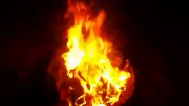 Penguin Explosion! смотреть онлайн