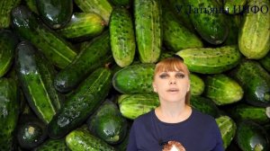 Почему ОГУРЦЫ НЕПРАВИЛЬНОЙ ФОРМЫ - чего не хватает?