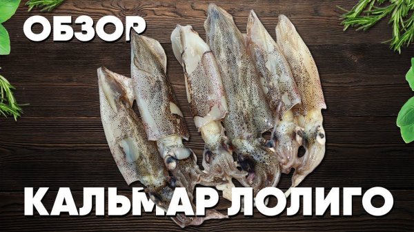Кальмар ЛОЛИГО. Как чистить и разделывать кальмаров? Обзор гастрономических морепродуктов