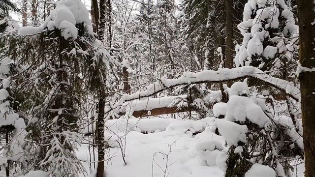 Зимние пейзажи смотреть онлайн