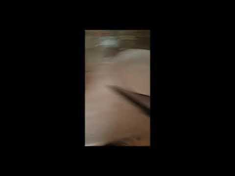 Приобрёл авганский казан! смотреть онлайн