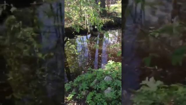 Ловим ветер дальних странствий. Виолетта Ведунья смотреть онлайн