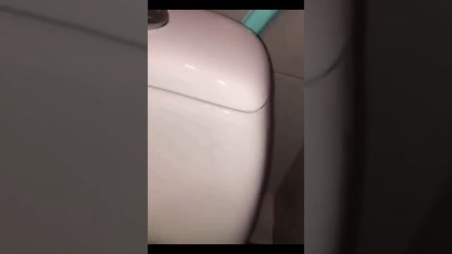 подборка приколов смотреть онлайн