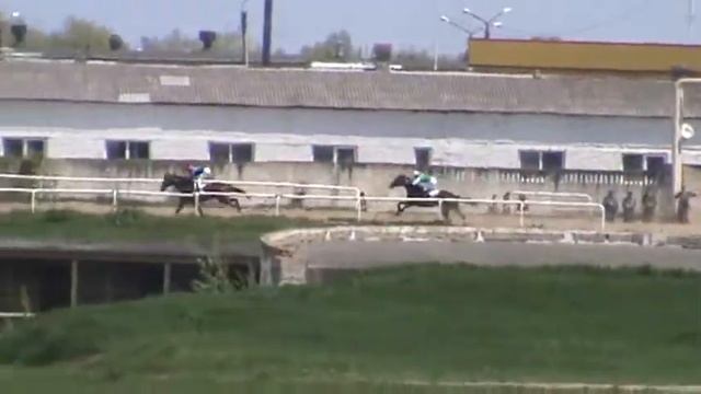 Приз в честь праздника весны и труда 1600м, кобылы 3 лет смотреть онлайн