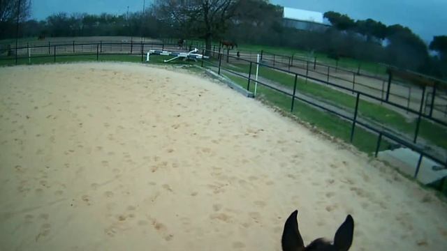 Jumping Epona and some SASS too (part 1 of 2) смотреть онлайн