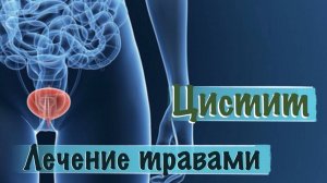 Цистит Лечение травами