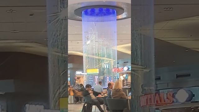 LaGuardia Airport Waterfall #laguardia #waterfall #fun #amusing смотреть онлайн