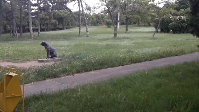 Прогулка по улице Парковой и Приморскому парку в городе Черноморске Одесской области. смотреть онлайн