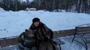 Кот Семен. История любви.