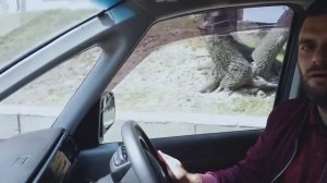 Самые популярные минивэны из Японии! Toyota Noah и Honda Stepwagon НЕ покупай! Пока не посмотришь!