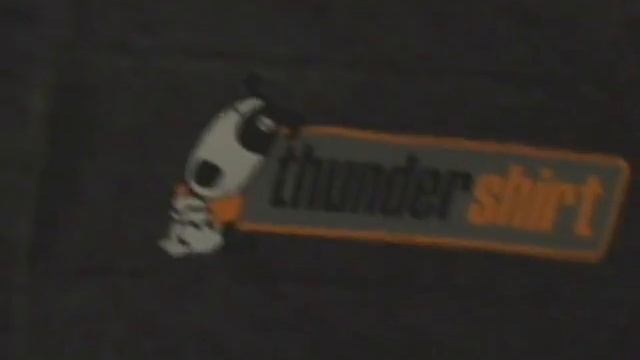 Does It Work?Thundershirt Review