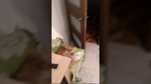 Камин своими руками из пенопласта. Meine Coon смотреть онлайн