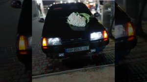 Дал дал дома ? дал дал ушел (2020) ( bass )(оперская песня под оперскую суету)