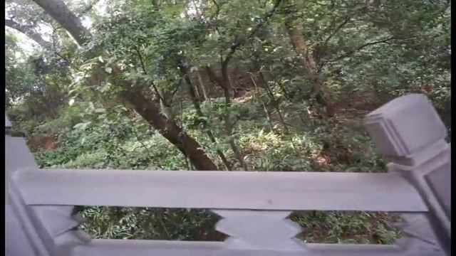 重庆成都混剪 Chongqing Chengdu смотреть онлайн
