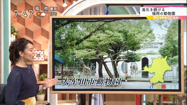 00_]再[」！うこ行に園物動の岡福！前目春「岡福＠！ドドド感実 смотреть онлайн