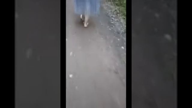 Босиком в лесу смотреть онлайн