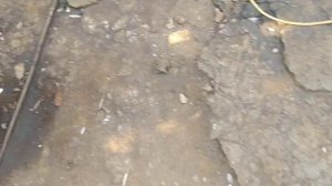 корморезка, корнерезка,кабакорезка хренорезка и и.д. Тест работы