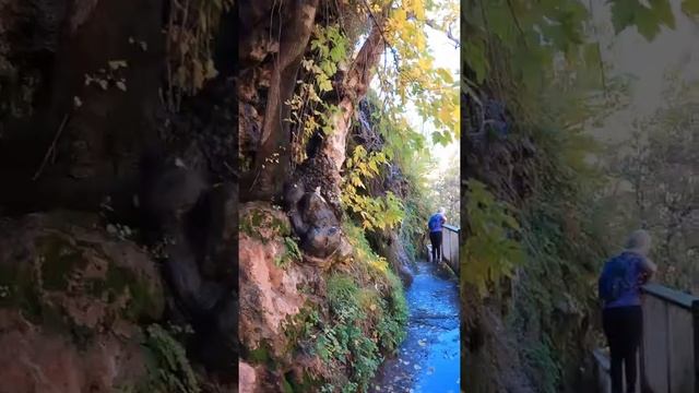 #shorts #американскаяглубинка Государственный парк в штате Аризона. Семейное путешествие по штатам. смотреть онлайн