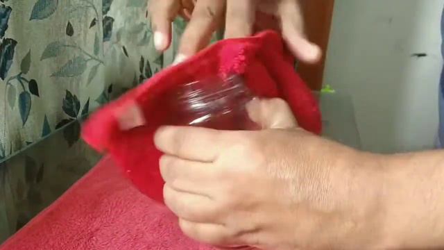 Syngonium | How To Grow Syngonium In Water | Syngonium Podophyllum | Syngonium Propogation