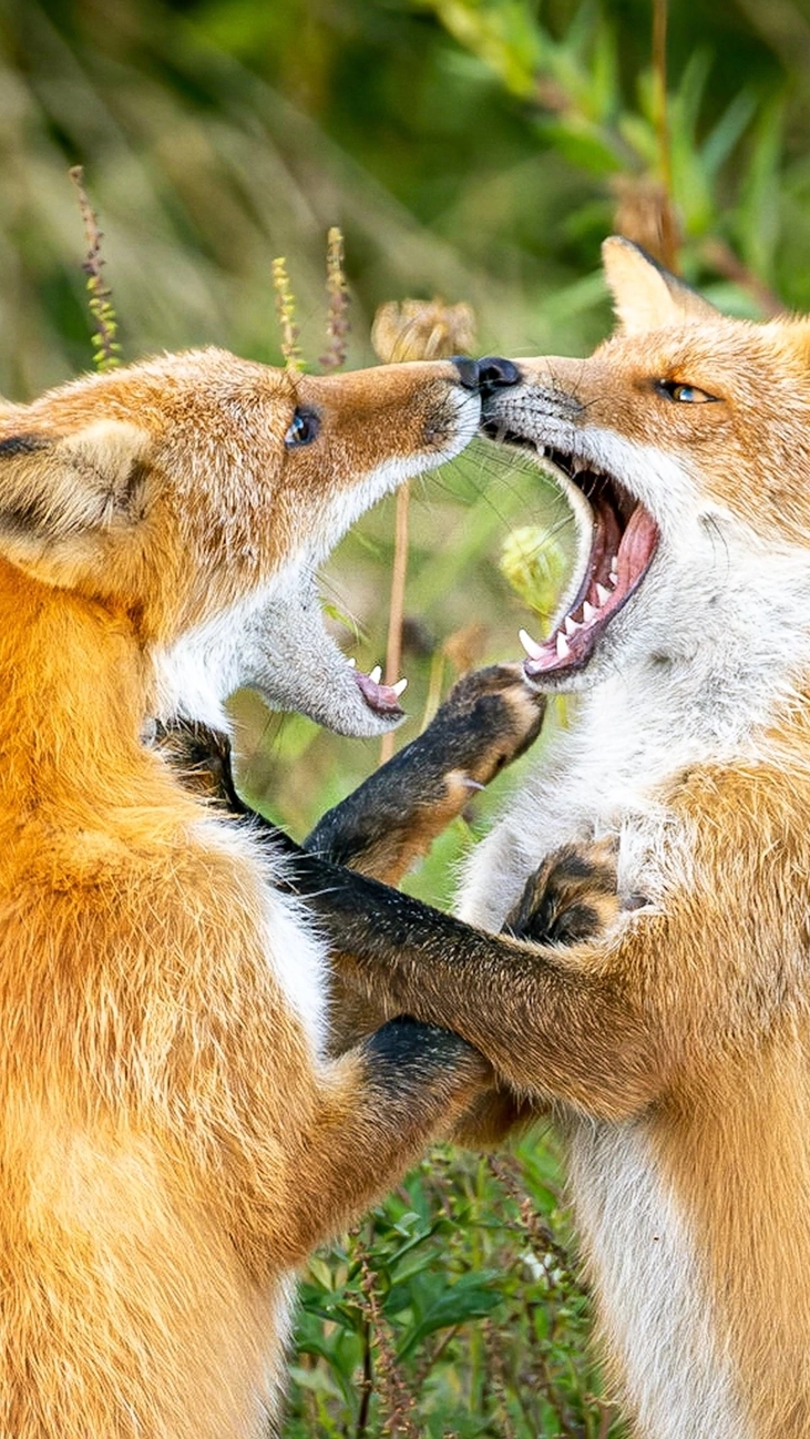 великие философы