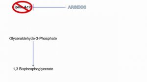 USMLE RX - 1.Биохимия - 4.Метаболизм - 38.Пируватдегидрогеназный комплекс (ПДК)