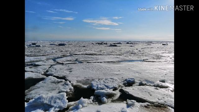 Honor 8X - Хонор 8Х - хонор 8х - А что с фото и видео?