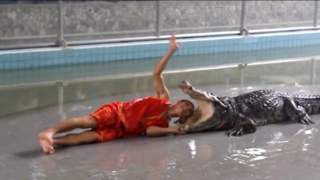 Pattaya Crocodile Farm Крокодиловая ферма Шоу крокодилов смотреть онлайн