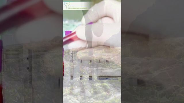 Почему наши предки ели сныть и не болели