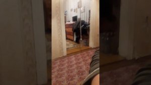 самодельная качеля из турника плюс  тарзанка и как сделать турник.