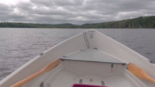 Mercury f5m +terhi saiman