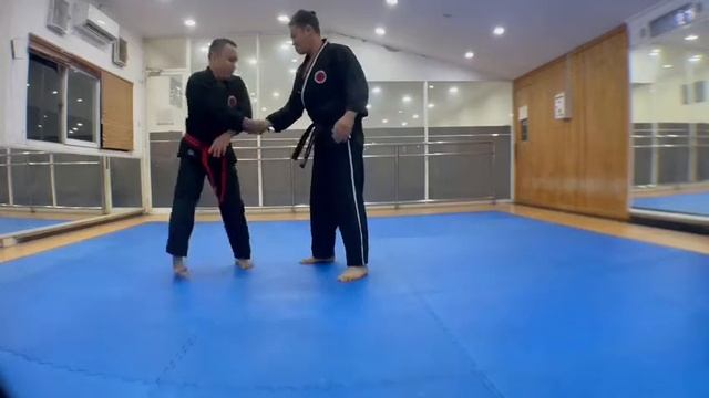 Hapkido Hosinsul Selfdefense Technique смотреть онлайн