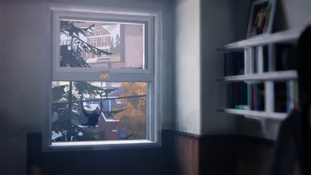 How to free the blue bird - Life is Strange Episode 4 смотреть онлайн