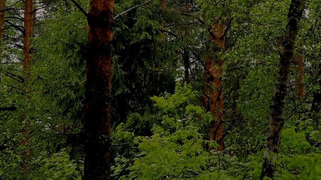 звук дождя и грома смотреть онлайн