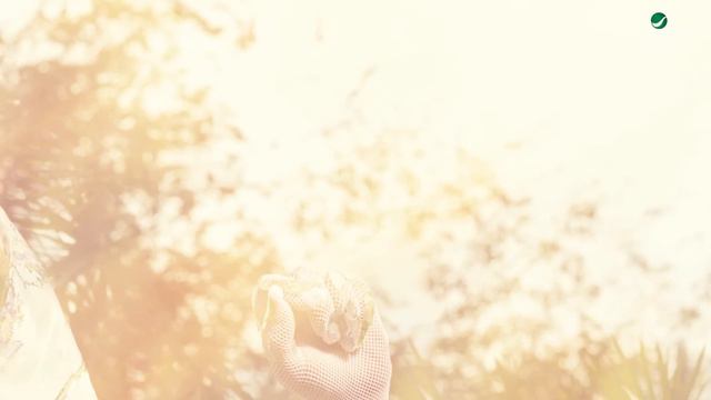 Assala - Faqadt Nafsy [Lyrics Video] 2022 | أصالة - فقدتُ نفسي
