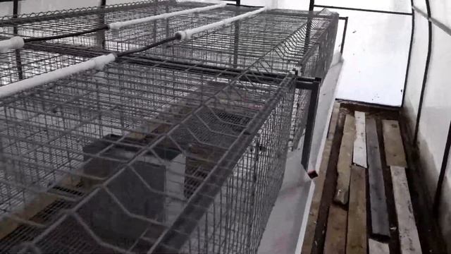 Клетки для кроликов промышленного типа. Эксплуатация зимой. Часть 1 смотреть онлайн