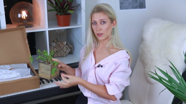 Распаковка посылки ZARA и MANGO с ПРИМЕРКОЙ| Офисный HAUL 2019|Маша Михеева