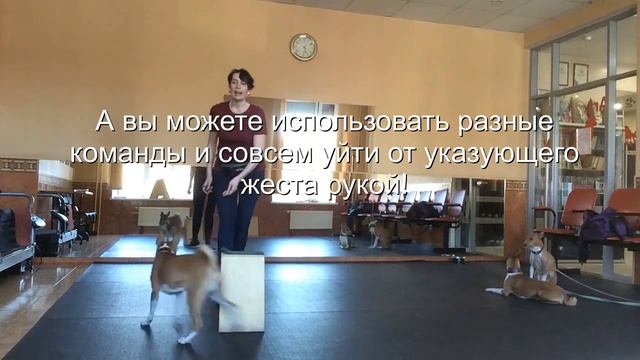 Флай учится обходить конус смотреть онлайн
