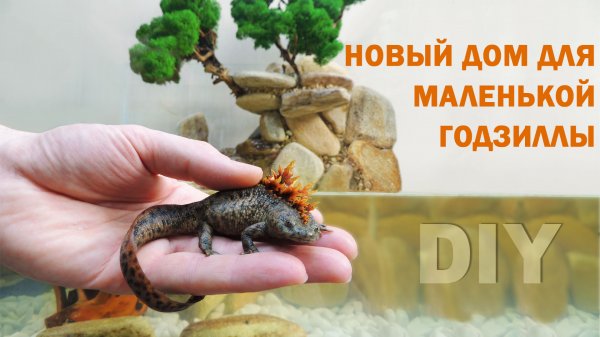 КАК ПОДРУЖИТЬСЯ С МАЛЕНЬКИМ ДИНОЗАВРАМИ!!!
ТАКОЙ АКВА ТЕРРАРИУМ СМОЖЕТ СДЕЛАТЬ КАЖЫЙ.