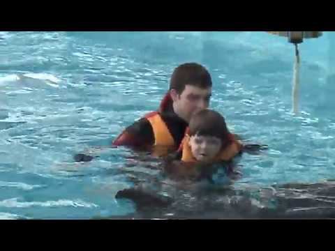 Дельфинотерапия с Аутистом. Мышко Дима 6 лет. День 4 смотреть онлайн