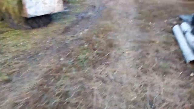 Привесы телят за сентятрь.Айширская тёлочка. смотреть онлайн