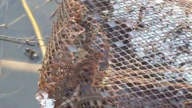 Снежная Рыбалка: Окунь и Вьюн(+Кубарь) смотреть онлайн