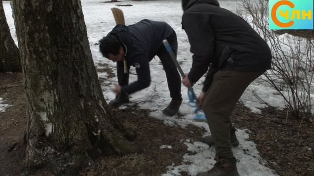 БОРЬБА ЗА ЧИСТЫЙ ГОРОД. ВЕСЕННИЕ ПОДСНЕЖНИКИ. СЧЛН ВЫПУСК 5. смотреть онлайн