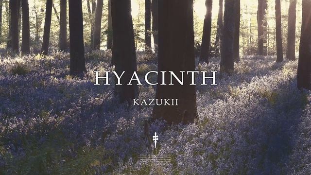 Kazukii - Hyacinth