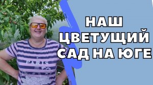 #127 Купили дом на юге/Переезд на Кубань/Белореченск/Краснодарский край./mp4